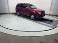 2010 FORD ESCAPE