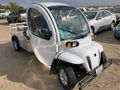 2010 POLARIS GEM