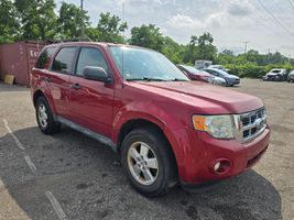 2010 FORD ESCAPE