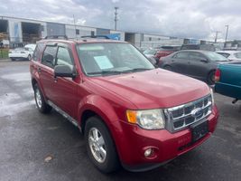 2011 FORD ESCAPE XLT
