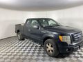 2010 FORD F150