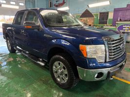 2010 FORD F150 XL